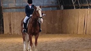 Каспер и Алена, манежная езда 1.2, #horse #equestrian #лошади #pony