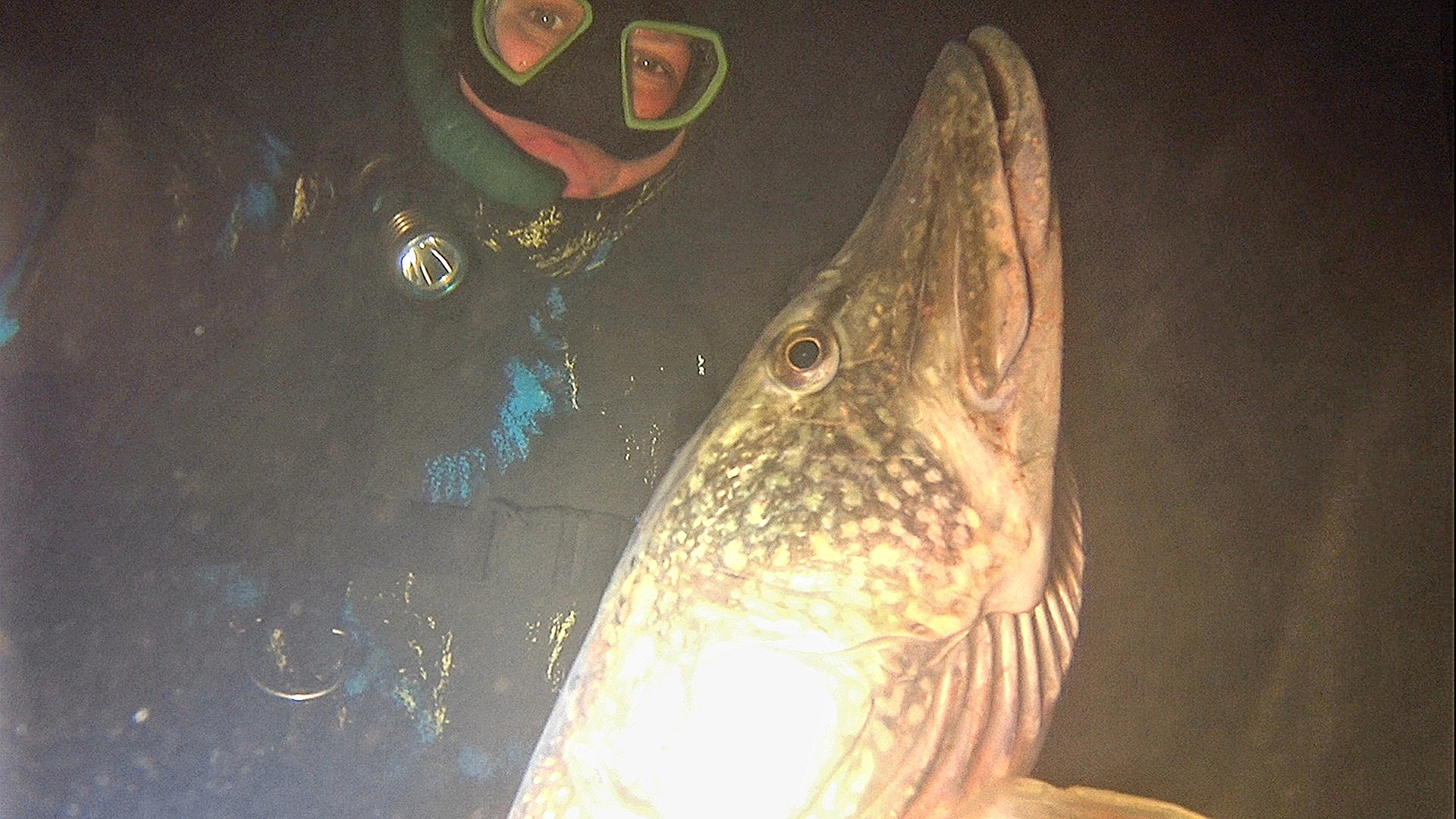 Подводная Охота Осенью . Коряги. Свал. Монстр. Подводная Охота в Башкирии смотреть онлайн