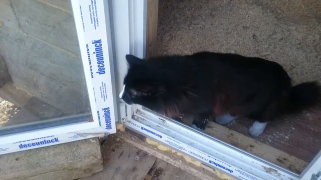 Оссё в курятнике смотреть онлайн