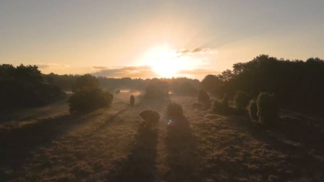 Заметить доброе сквозь толщу пыли... смотреть онлайн