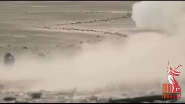 Комбайнёры. К 80-ти летию Великой Победы!