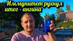 Иммунитет рухнул! Как я заболел ангиной