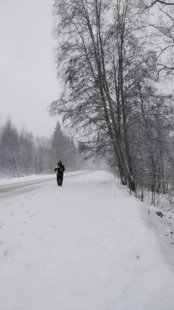 Полумарафон, более подробно в длином видео 02.02.25