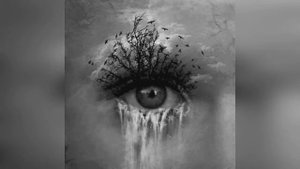 Дельфин   Кран