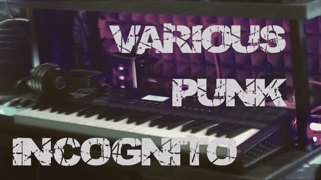 INCOGNITO - ИНКОГНИТО - VARIOUS PUNK electronicmusic rockmusic