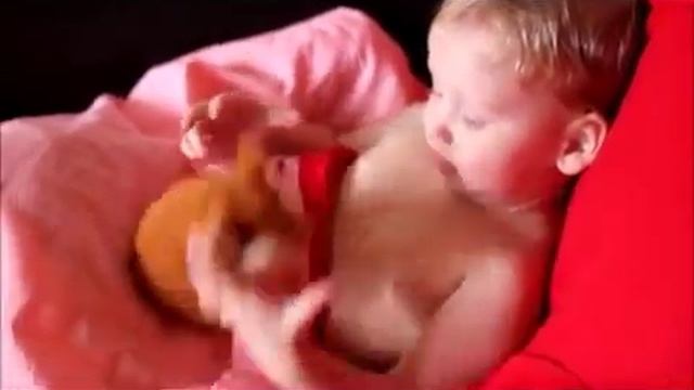 ГОВОРЯЩИЙ ХОМЯК   Лучший Друг, Для Вашего Ребенка! КУПИТЬ!