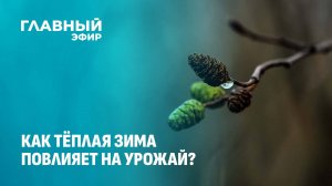 Аномально тёплая зима в Беларуси: что ждать от урожая в этом году? Главный эфир