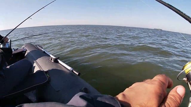 ОТРЫВ по ОКУНЮ на ОВХ! ПОДЖОПНИКИ нам НИ ПОЧЁМ! РЫБУ мы СВОЮ сами НАЙДЁМ! Отводной поводок на окуня. смотреть онлайн