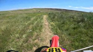 Гюрза на соревнованиях 2 карьера в Анапе п. Виноградный.