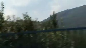 Едем в Закарпатье