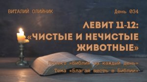 День 034. Левит 11-12: Чистые и нечистые животные | Библия на каждый день | Благая весть в Библии