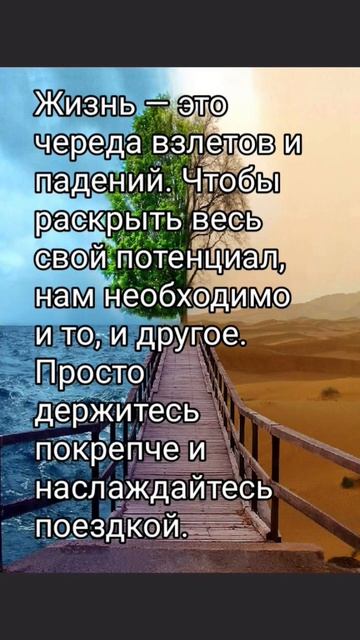 Жизнь - это... #жизнь #мысли #цитаты #мораль #высказывания смотреть онлайн