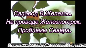 Садовод В.Железов. На проводе Железногорск. Проблемы Севера.