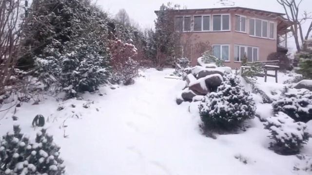 22 декабря 2017 г. смотреть онлайн