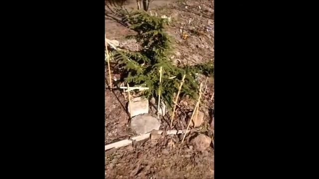 Прямой эфир 14,04,2018 смотреть онлайн