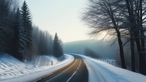 Новый год к нам мчится