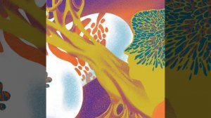 Как устроено донорство костного мозга в России