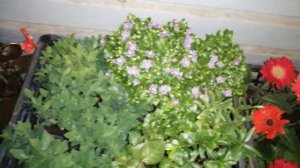 Открываем сезон продаж! Что возьмём на рынок
