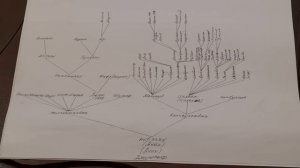 ЛЪАПСЭ. Тэхъутэмыкъуай.