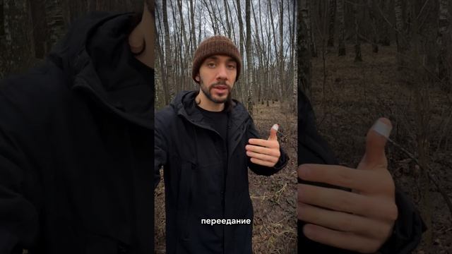 Пищеварение и разум: как еда влияет на когнитивные способности