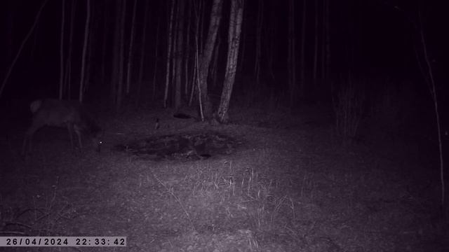 ИЗЮБРИХА смотреть онлайн