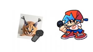 рэп шлёпы #блоптоп #шлепа