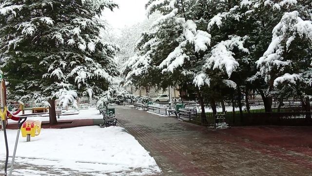 Крым зимний сквер