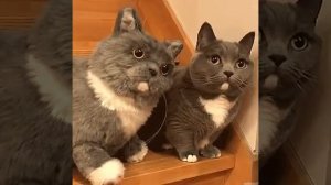 Саня, ты в порядке?