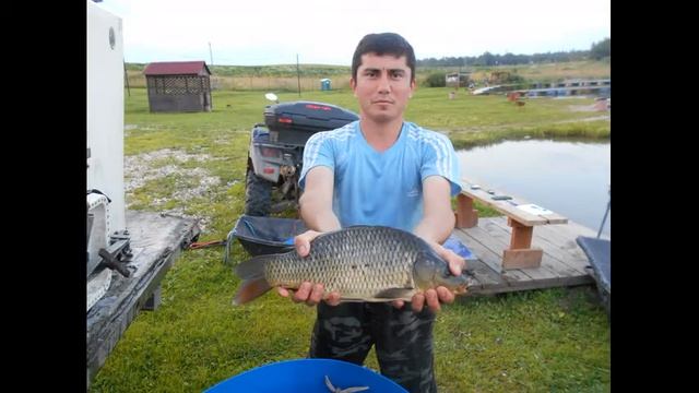 Зарыбление карпом навеска от 1 до 2 кг 26 июля 2017 год смотреть онлайн