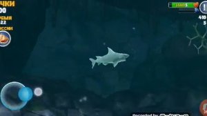 Игра SHARK EVOLUTION акула часть 2