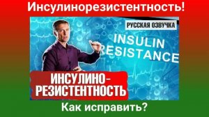 Доктор Берг. Как исправить инсулинорезистентность (русская озвучка)