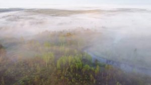 Дрон над Тайгой