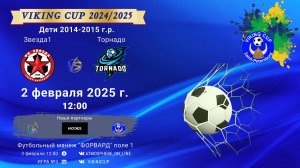 ФК "Звезда 1" - ФК "Торнадо"/VIKING CUP, Игра №3, 02-01-2025 12:00