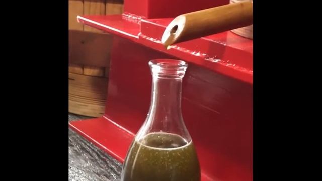 Отжим КОНОПЛЯНОГО МАСЛА