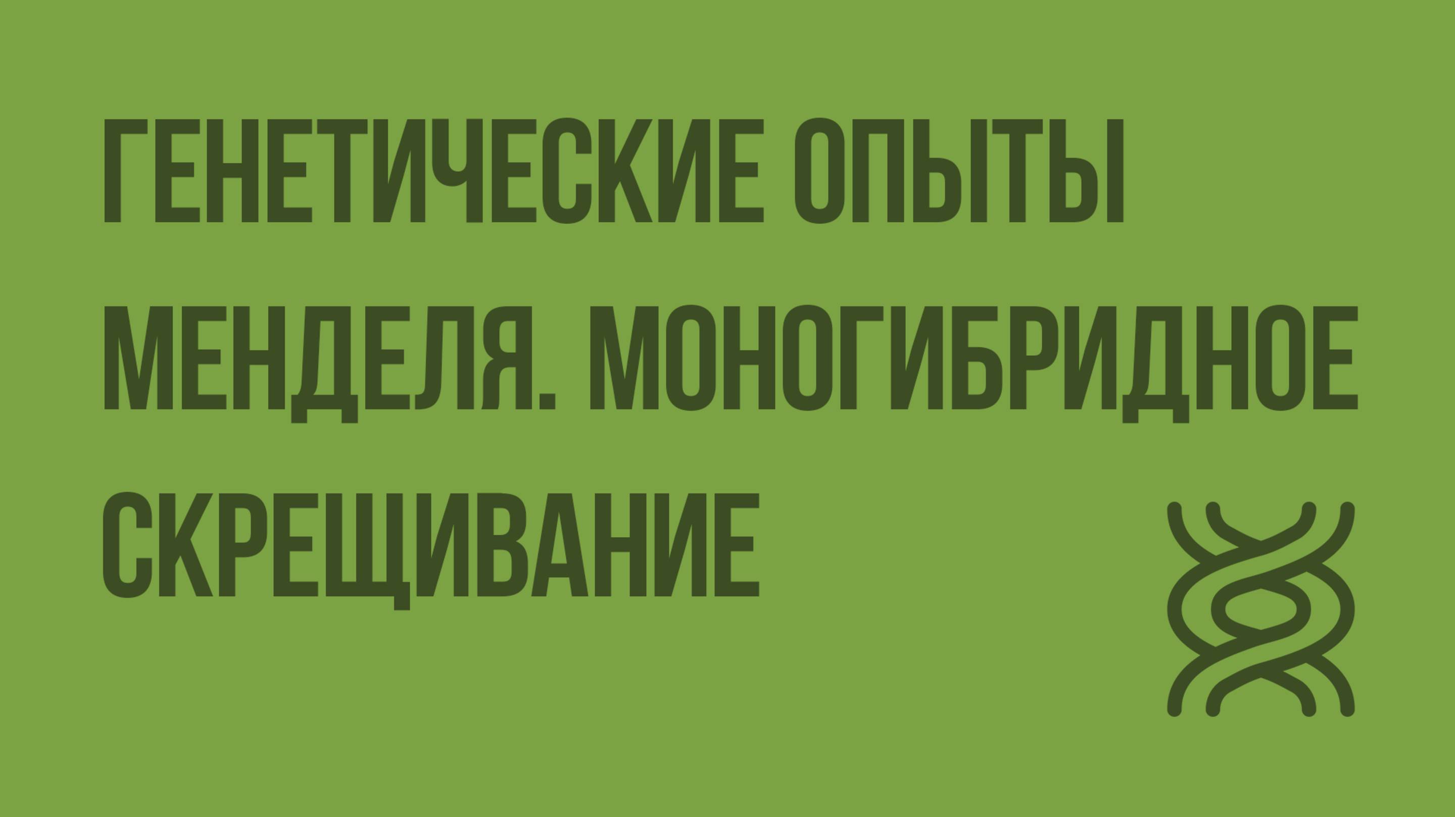 Генетические опыты Менделя. Моногибридное скрещивание. Видеоурок по биологии 9 класс