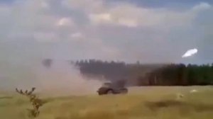 Гои+шикСЫ..., древняя кровь, сами свиньи переМОЧат друг друга.