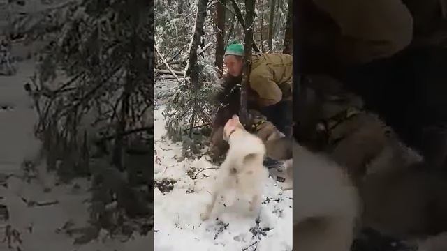 С ножом на кабана смотреть онлайн