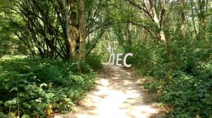 Берегите природу!