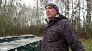 БОРЬБА С СИНИЦАМИ!!!