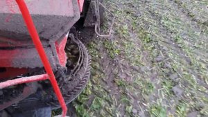 Holmer T3 harvesting sugarbeets