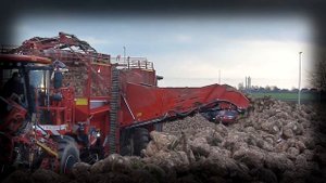 Holmer T 4 40