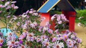 Один день из жизни группы