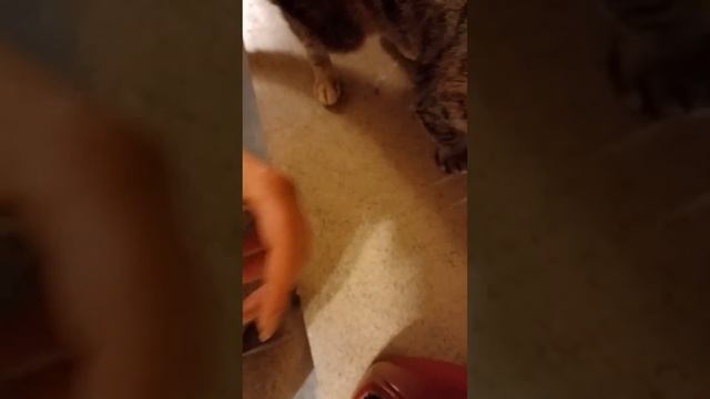 Marzipan and the popcorn necklace смотреть онлайн