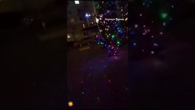 Елочка 🌲 в красивую дату 25.01.25 год Солнечный ☀️