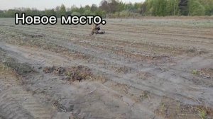 Времени мало , но находки есть. Коп май 2024.