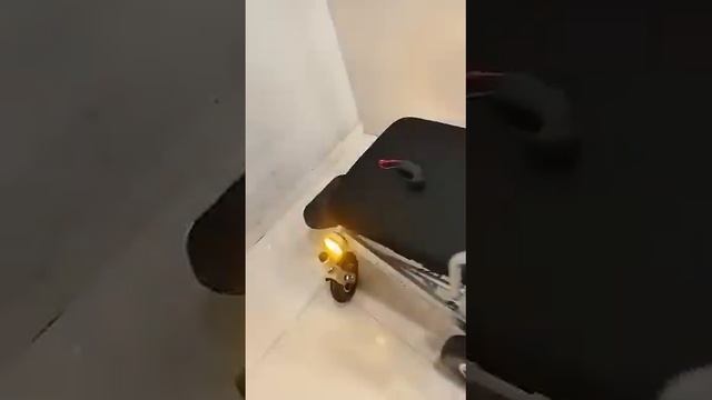 Light Weight Power Wheelchair | Call 9893025003 | Central India Biggest Showroom In Indore смотреть онлайн