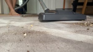 Hoover Telios TX50PET | Earthy Wonders Mix | Performance Test | Mess Test | Vacuuming