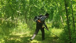 ECHO RM 520 ES Motorlu Tırpan ile fındık bahçesi otlarını biçme