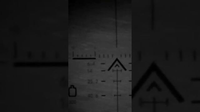 ОХОТА НА ДИКОГО КАБАНА #shorts