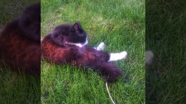 June смотреть онлайн